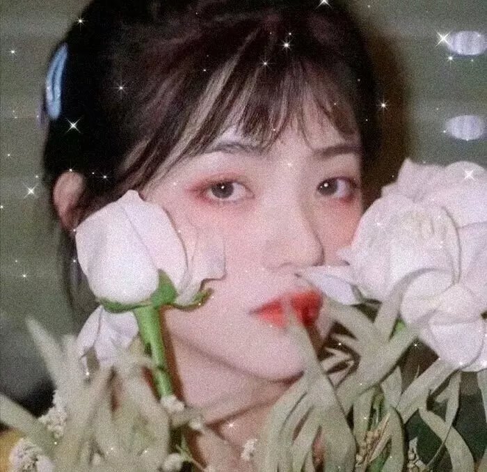 碧庐冤孽