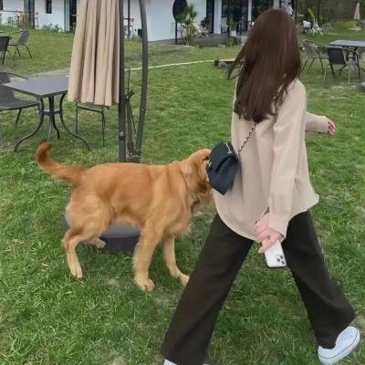 吉隆坡黑帮